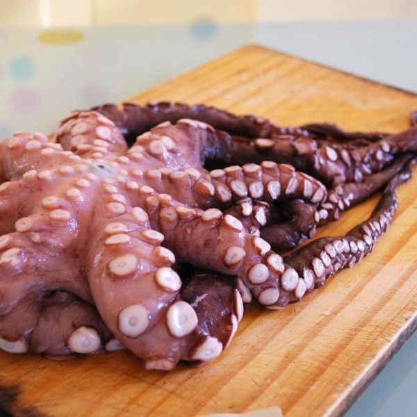 PULPO